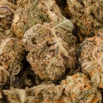 RainbowGelatoSmalls-DollarTreez-02