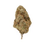 SanFranciscoOG-LuckyFarms-03