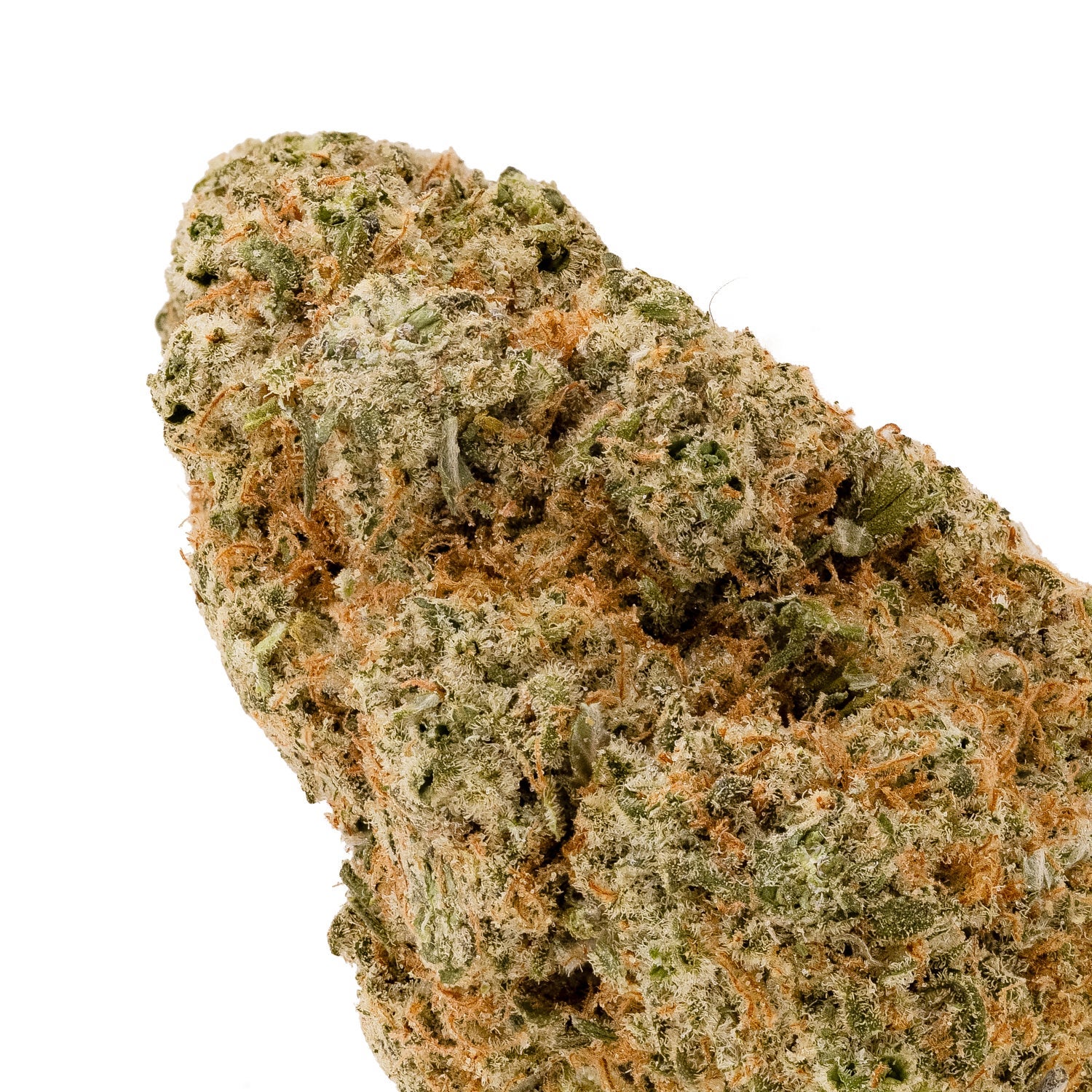 SanFranciscoOG-LuckyFarms-04