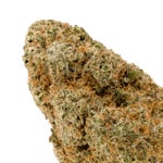 SanFranciscoOG-LuckyFarms-03