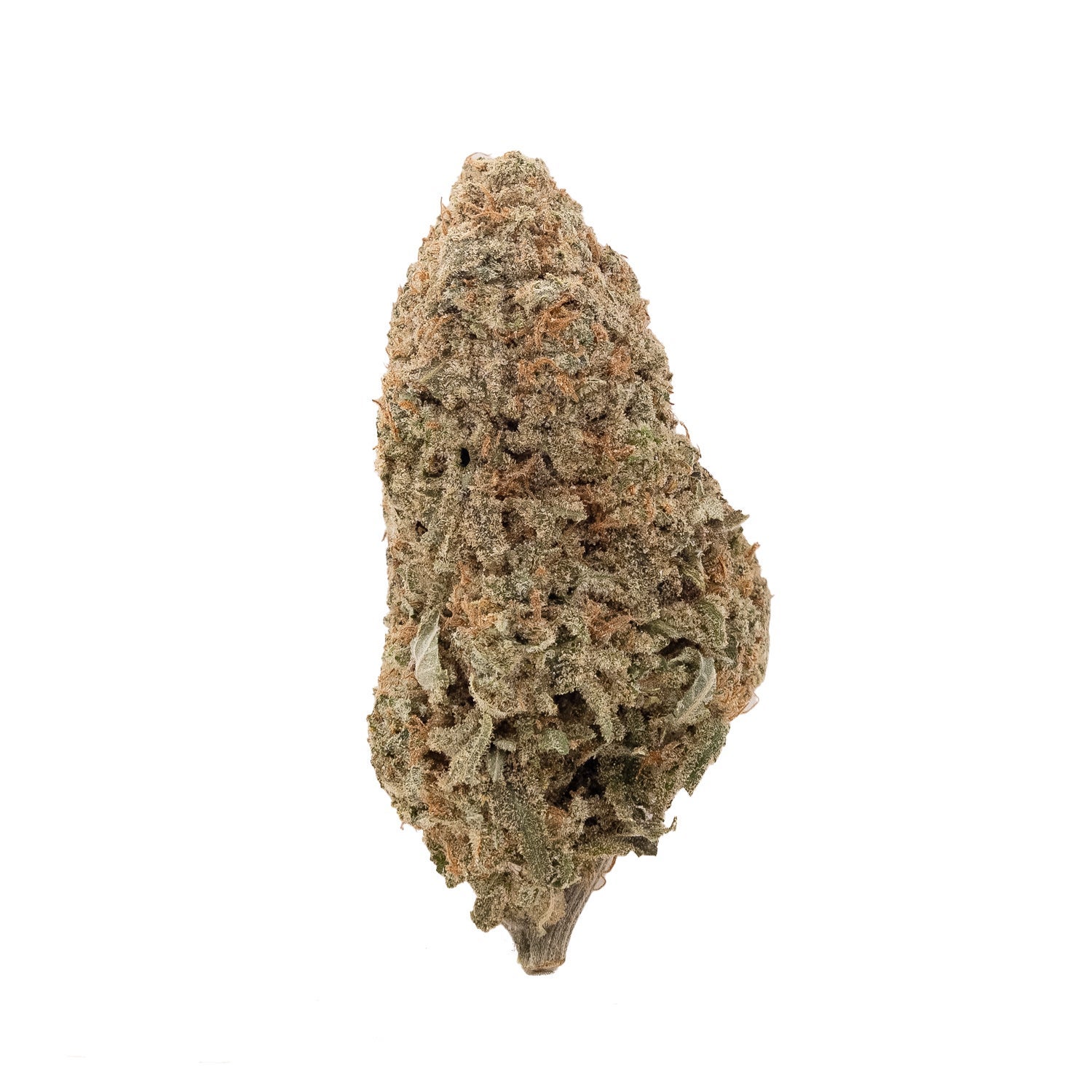 SunsetSherbert-LuckyFarms-03