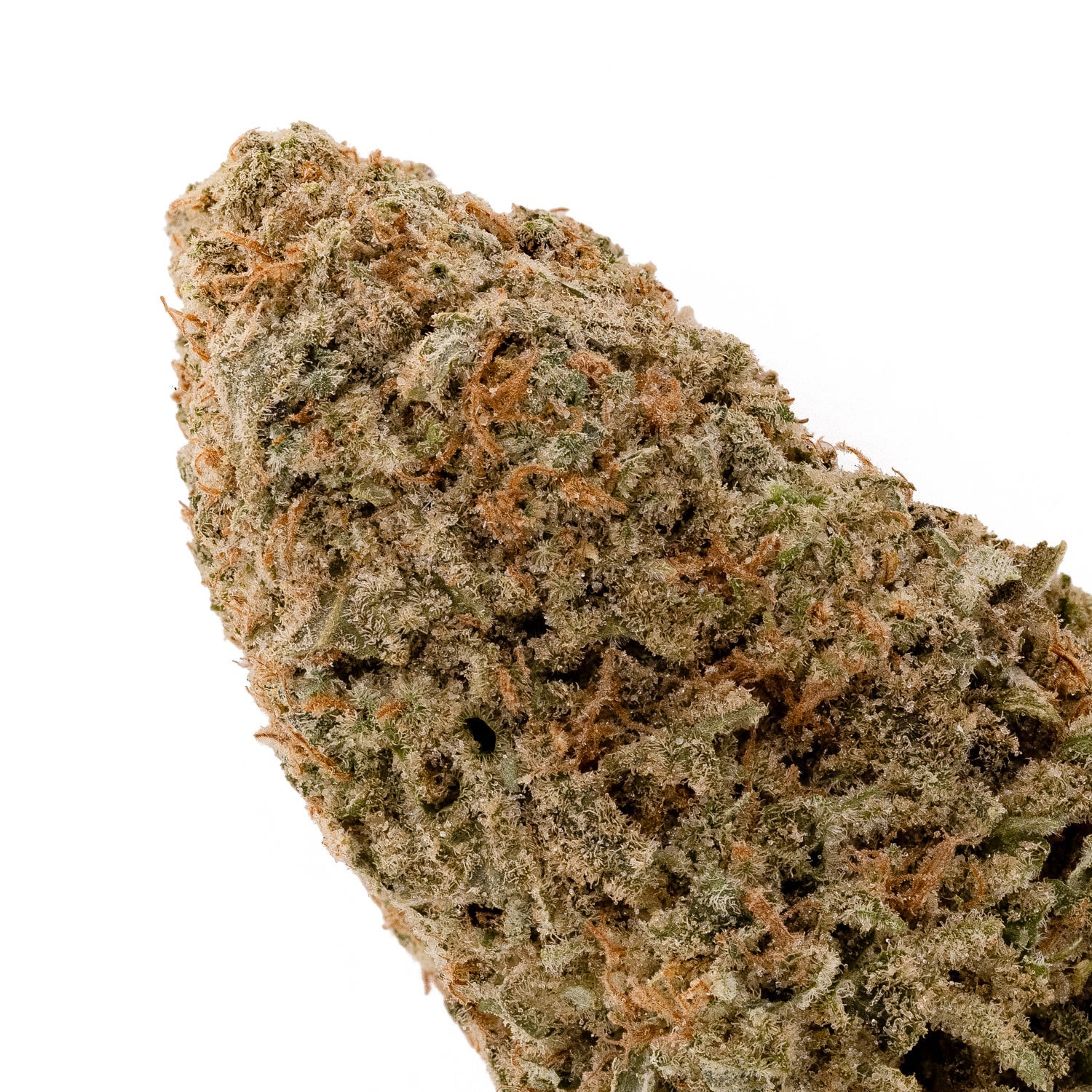 SunsetSherbert-LuckyFarms-04