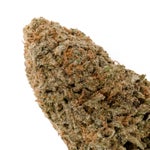 SunsetSherbert-LuckyFarms-03