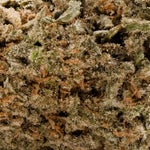 SunsetSherbert-LuckyFarms-03