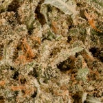 SunsetSherbert-LuckyFarms-03