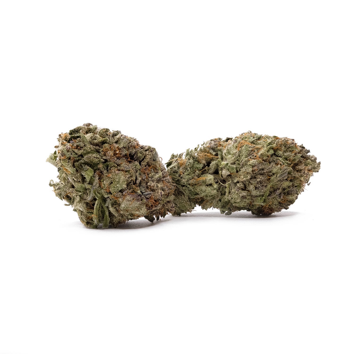 TexadaTimewarp-LuckyFarms-01