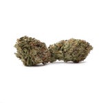 TexadaTimewarp-LuckyFarms-03