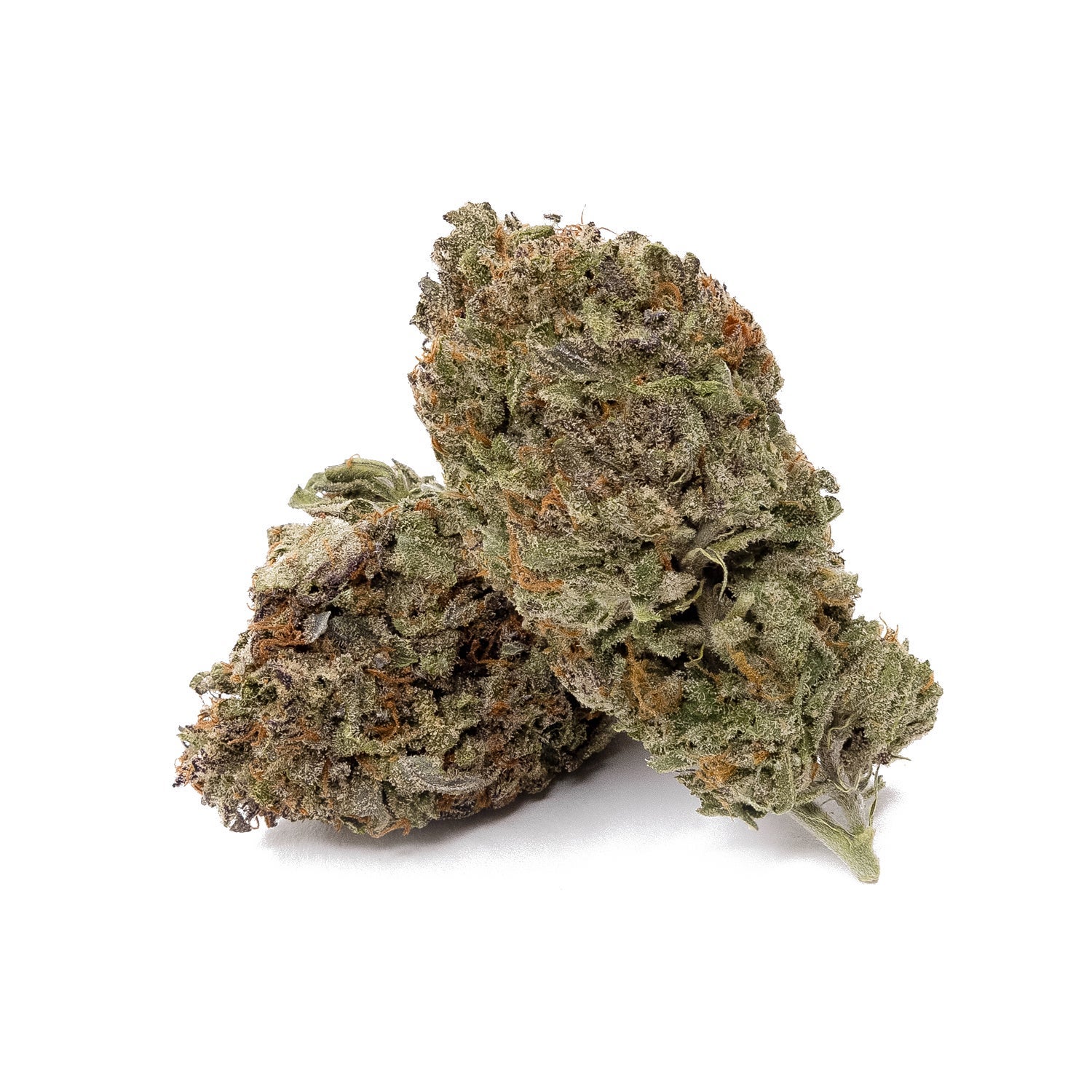 TexadaTimewarp-LuckyFarms-02