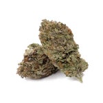 TexadaTimewarp-LuckyFarms-03