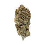 TexadaTimewarp-LuckyFarms-03