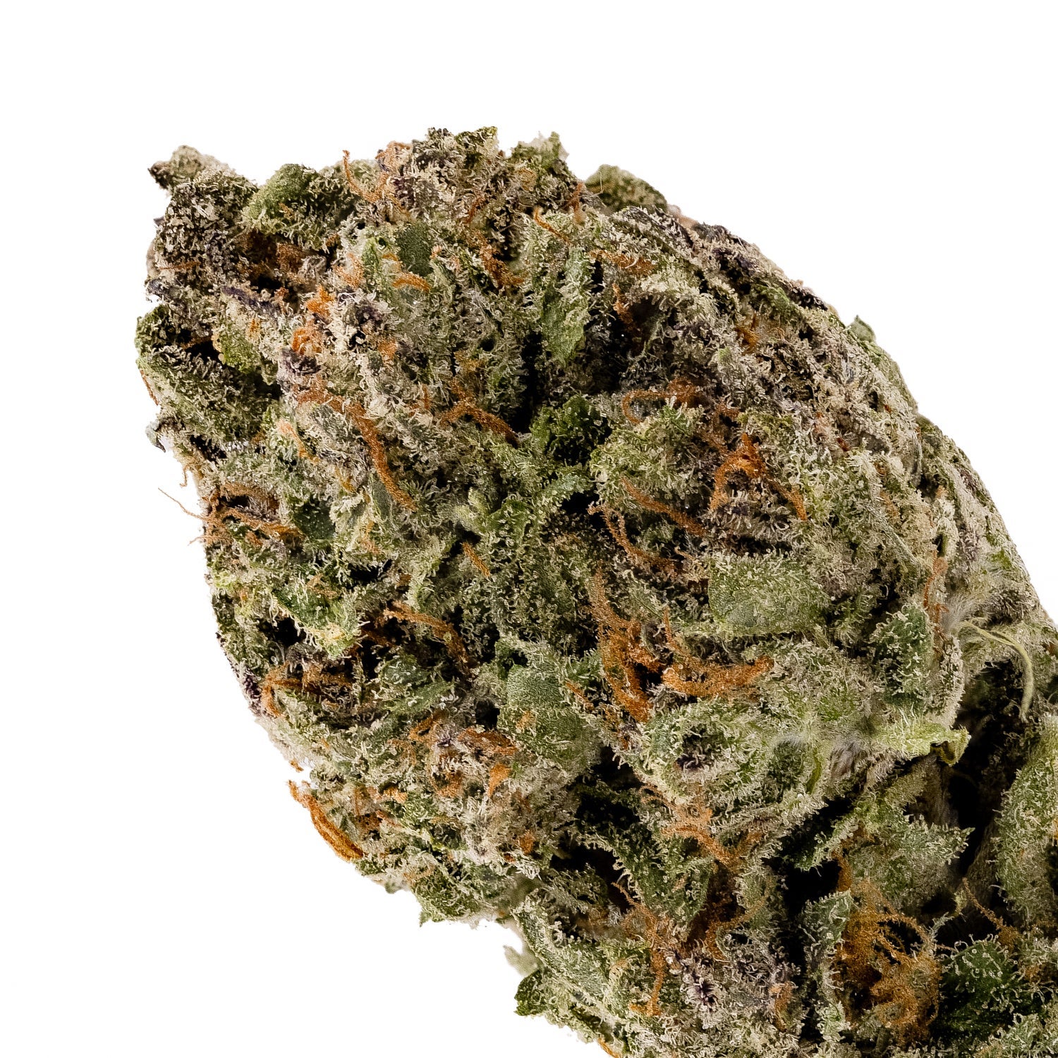 TexadaTimewarp-LuckyFarms-04