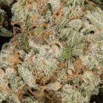 VanillaRuntzSmalls-LuckyFarms-02