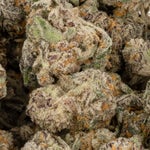 WhiteWeddingSmalls-LuckyFarmsSmalls-02