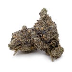 WojoMints-03