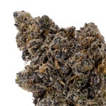 WojoMints-03