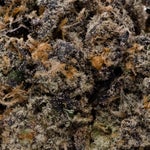 WojoMints-03