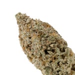 AppleFritter-LucktFarms-03