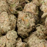 BananaCreamCakeSmalls-LuckyFarms-02