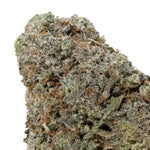 BlackDomina-03
