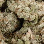 BlackberryKushSmalls-LuckyFarms-02
