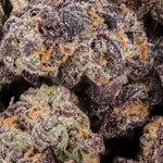 Blueberry-LuckyFarms-02