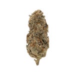 CherryGarcia-LuckyFarms-03