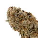 CherryGarcia-LuckyFarms-03