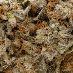 CherryGarcia-LuckyFarms-03