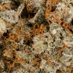 CherryGarcia-LuckyFarms-03