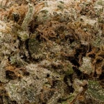 DeathBerry-LuckyFarms-03