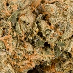 DeathBubbaUltra-LuckyFarms-03