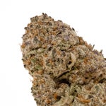 Dosido-LuckyFarms-03