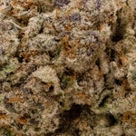 Dosido-LuckyFarms-03