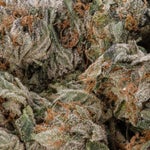 GorillaGlue4-LuckyFarms-01