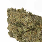 Grease Monkey Lucky Farms (4 of 6)