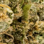 Grease Monkey Lucky Farms (4 of 6)