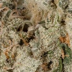 GreenCrackstar-LuckyFarms-02