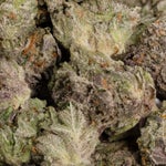 JetFuel-LuckyFarms-01