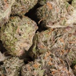 JetFuelOG-LuckyFarms-02