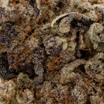 KushBreath-LuckyFarms-03