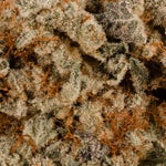 KushBreath-LuckyFarms-03