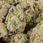 LemonDosidosSmalls-LuckyFarms-02