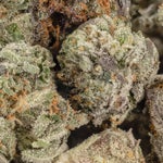 LuckyFarms-ElJefe-02