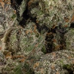 LuckyFarms-Slurricane-02