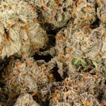 MACDonutSmalls-LuckyFarms-01