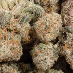 MasterKush-LuckyFarms-02