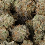 MendoBreath-LuckyFarms-01