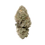 MiracleAlienCookies-03