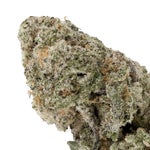 MiracleAlienCookies-03