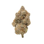 MiracleAllenCookies-LuckyFarms-03